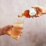 500ML APPEL CIDER AZIJN / BIO CIDER AZIJN 500ML - VINAIGRE DE CIDRE ARCHIV