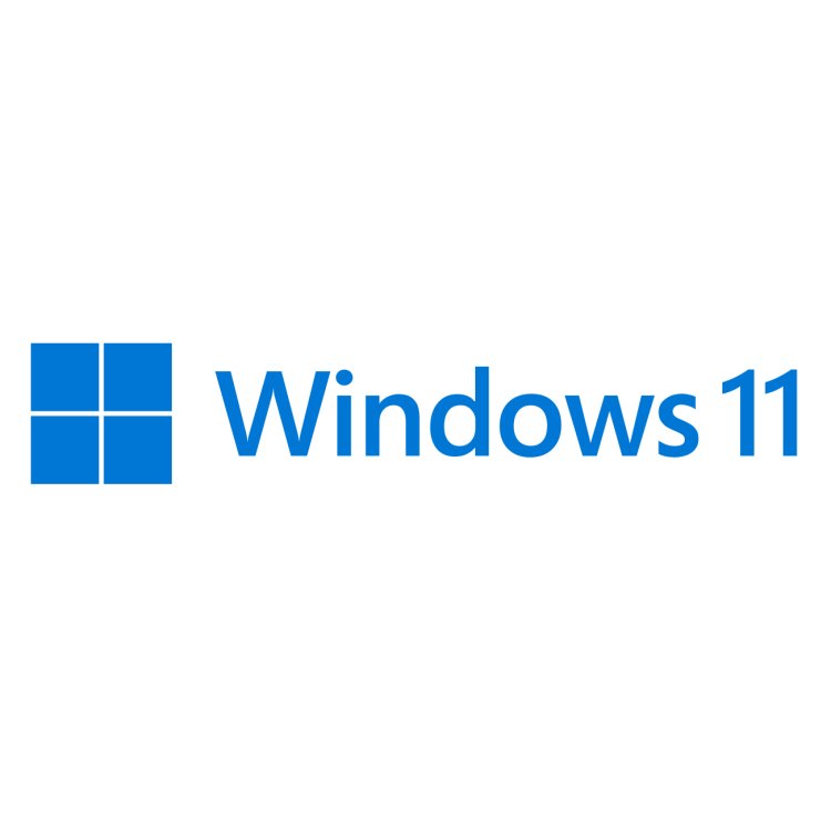 MS Windows 11 Home 64 bit DVD OEM FR